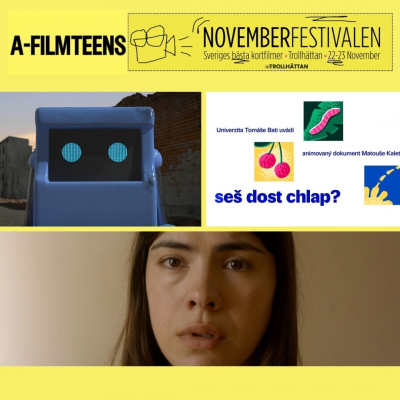 Czech Filmmakers Shine at Novemberfestivalen 2024