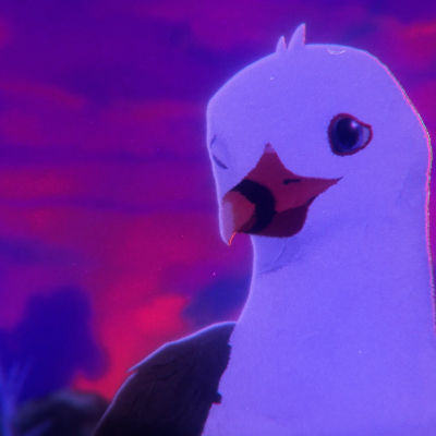 Bird Drone