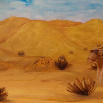Lost In the Desert